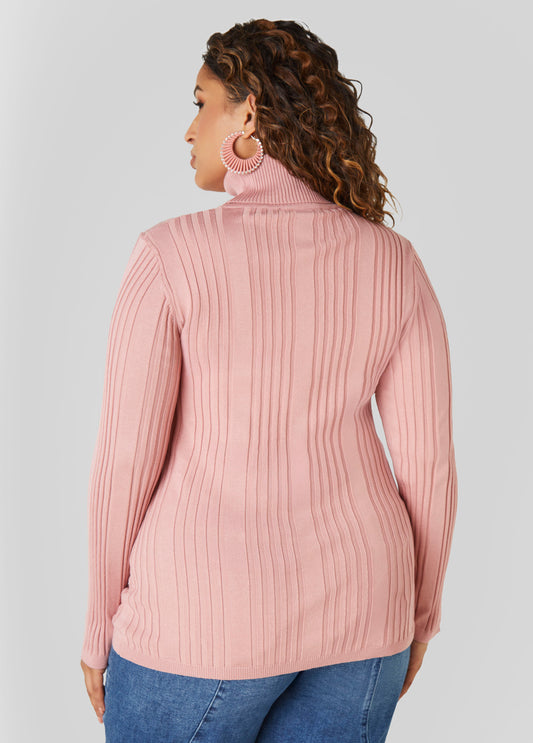 Ribbed Knit Turtleneck Sweater
