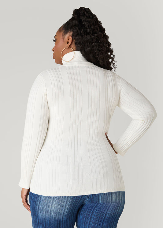 Turtleneck Ribbed Knit Sweater